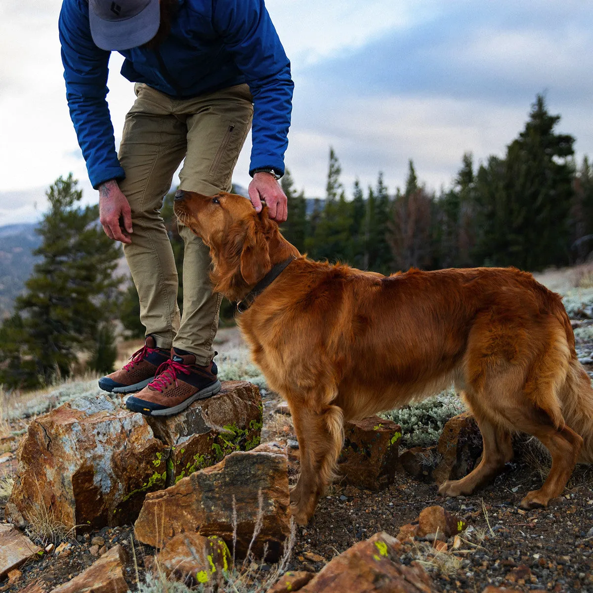 Danner Trail 2650 Brown/ Red