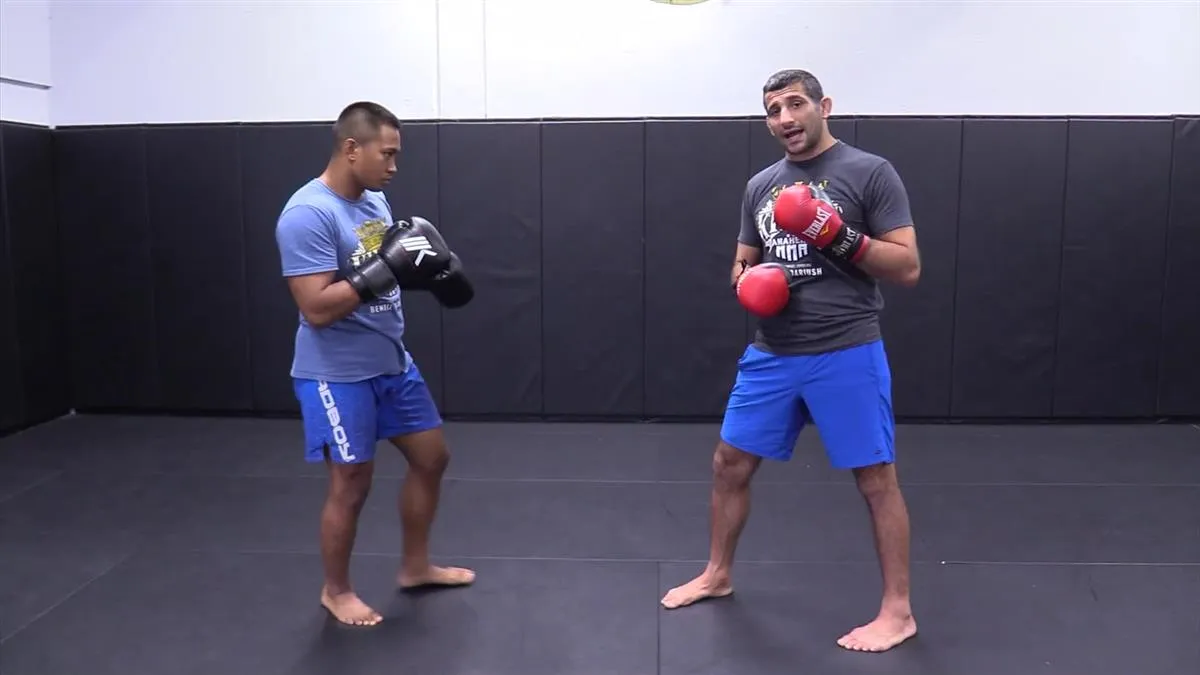 Defending & Countering The Kick by Beneil Dariush