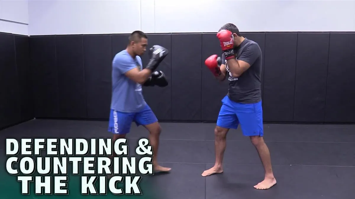 Defending & Countering The Kick by Beneil Dariush