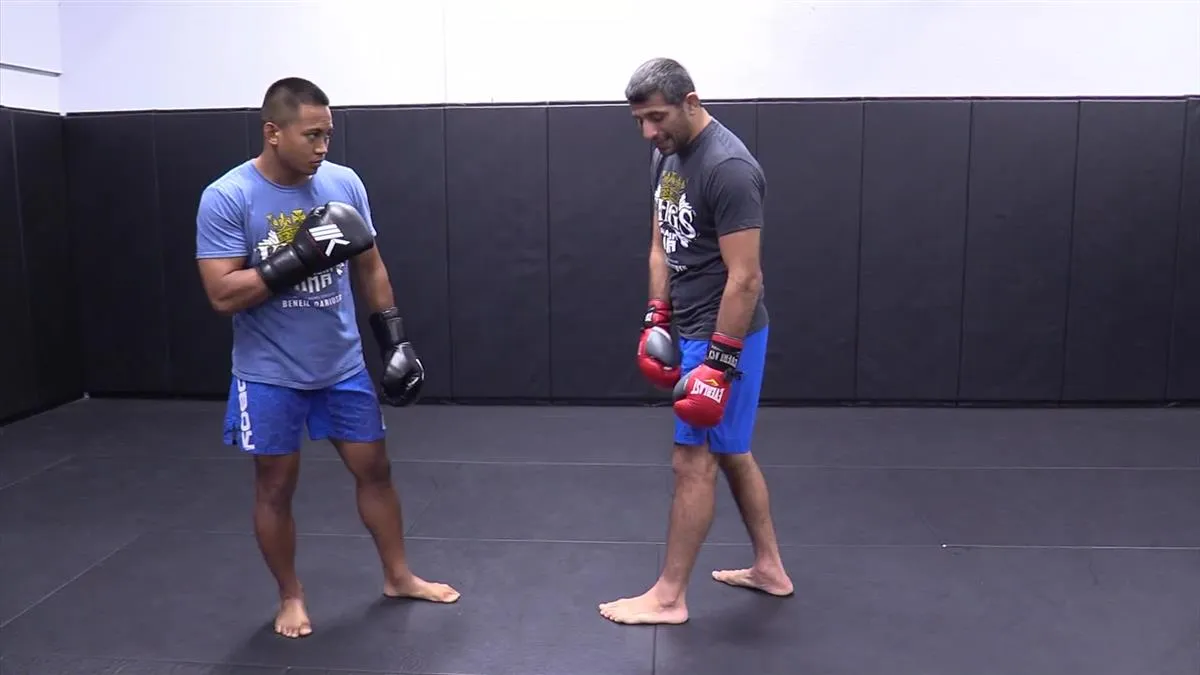 Defending & Countering The Kick by Beneil Dariush