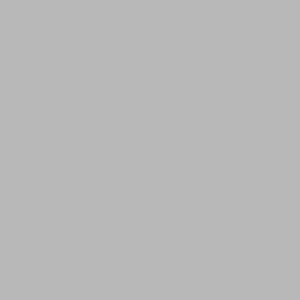 Lining | Silver