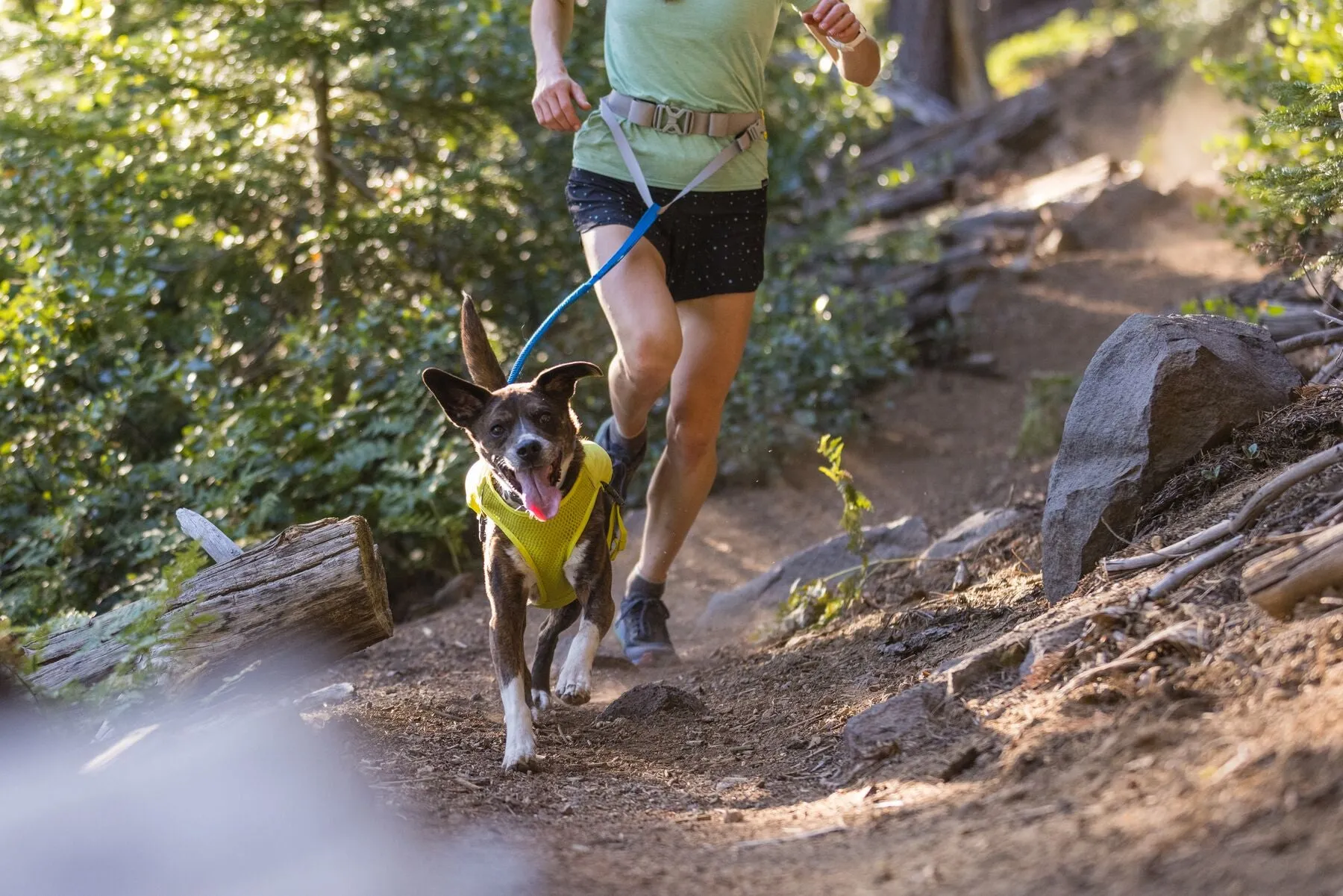 Ruffwear Trail Runner Leash
