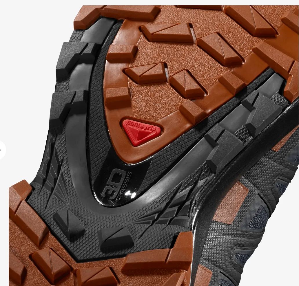 Salomon XA Pro 3D v8 GTX
